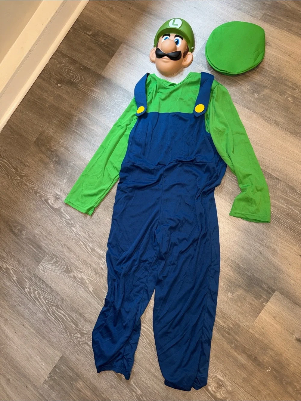 Mario/Luigi costume set